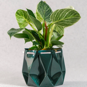 Dark Green Foldable Origami Plant Pot Cover